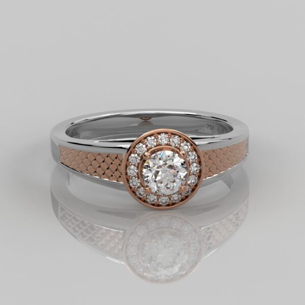 Solid Gold Two Tone Halo Round Solitaire Diamond Engagement Ring